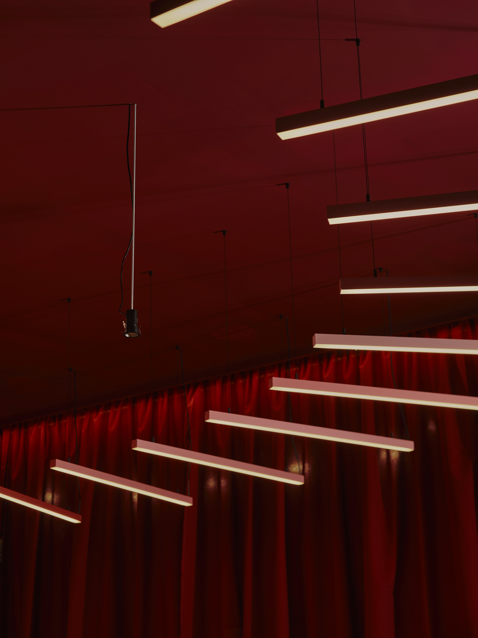 ‘ANATOMY OF LIGHT’ X ILUTREK